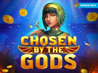 Chosen by the Gods game icon